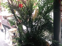 -尽善百年古院餐厅(王家老宅店)