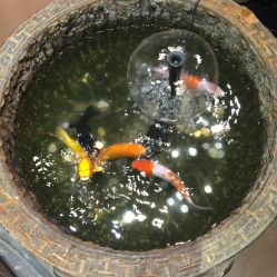 -木北造型
