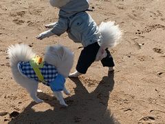 -青岛第三海水浴场