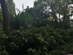 -上海市总工会沪东工人文化宫