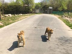 -西安秦岭野生动物园