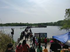 -溱湖国家湿地公园