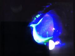-哆趣宠物医院·眼科·内镜·急重症转诊中心(上海店)