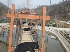 -栾川竹海野生动物园