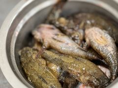 -沪依小酒馆心意菜