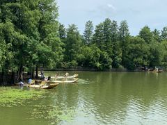 -东湖落雁景区