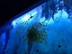 -波塞冬旅游度假区