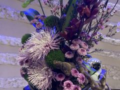 -爱乐国际温泉水疗会