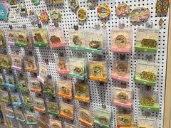 -猫的天空之城概念书店(苏州平江店)