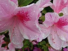 -上海植物园·停车场