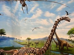 -辽宁古生物博物馆