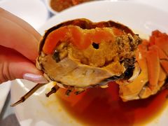 -红雀围·海鲜火锅(陆家嘴中心店)