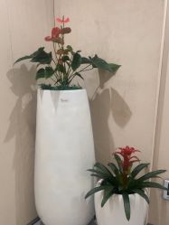 -Yestar重庆艺星医疗美容医院