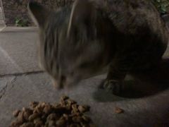 -上海市杨浦区牙病防治所