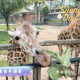 广州动物园20元门票，超抵，还要什么长隆野生动物园！