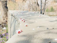 -康陵正德春饼宴26号