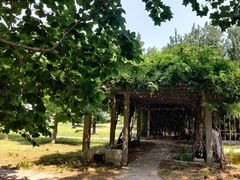 -北京植物园南门售票处