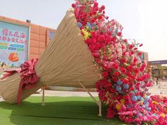 -荷兰花海