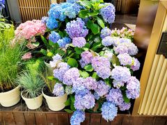 -日本风情街