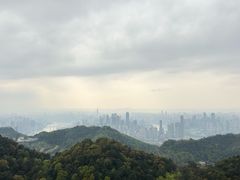-大金鹰园
