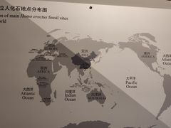 -北京周口店北京人遗址博物馆
