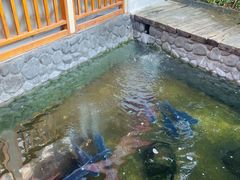 -耕渔小院·湖南鱼鲜(望城店)