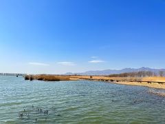 -野鸭湖国家湿地公园