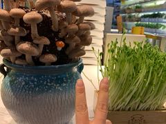 -俏牛哥鲜牛肉牛肆馆(重庆天地店)