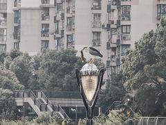 -苏州河梦清园环保主题公园