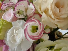 -ChaKo Flora ·茶子花艺 (市北店)