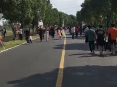 -漕湖湿地公园