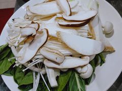 菌菇拼盘-海博汇蒸汽海鲜