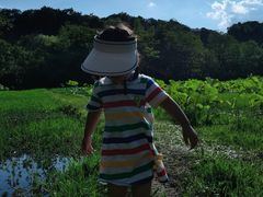 -贵阳市花溪国家城市湿地公园