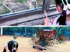 -秦皇岛野生动物园