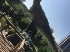 -陕西自然博物馆