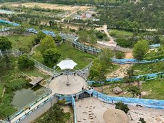 -西霞口神雕山野生动物世界