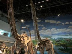 -自贡恐龙博物馆