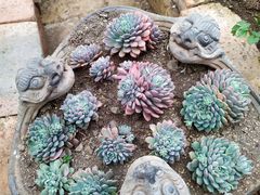 -飘香酒馆·私房菜