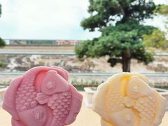 -宝墨园景区