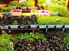 -永安鱼庄·镇江菜(丁卯店)