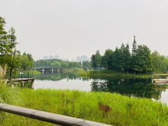 -尚贤河湿地