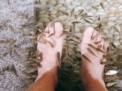 -明谷行馆·温泉