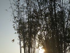 -后襄河公园