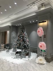 -MuseMarry婚纱(前海嘉里中心店)