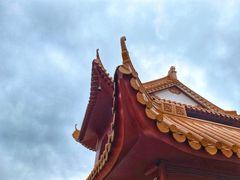 -深圳仙湖植物园