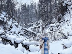 -峡谷浮石林景区