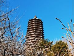 -玲珑塔公园