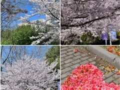 -江南大学(蠡湖校区)