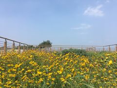 -东疆建设开发纪念公园