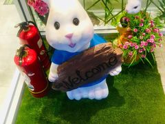 -苗小坛酸汤鱼(酒仙桥店)